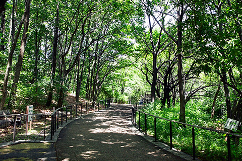 赤羽自然観察公園