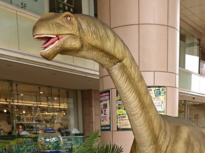 ホテルブログ Blog Jr武蔵溝ノ口駅南口より徒歩1分 Jr東日本ホテルメッツ 溝ノ口