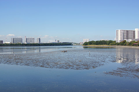 ZOZOマリンスタジアム