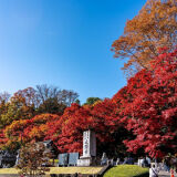 Autumn leaves at Eigenji Temple