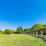 【観光】武蔵国分寺公園