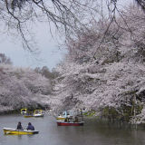 【観光】井の頭恩賜公園