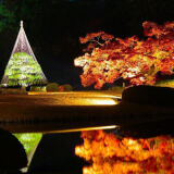 Autumn leaves at Rikugien Garden