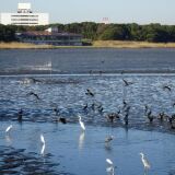 Yatsu-higata tidal flats