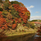 Autumn leaves in Yoro Valley