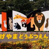 【周辺】野毛山動物園