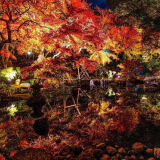 【観光】長谷寺の紅葉