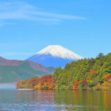 箱根的秋叶
