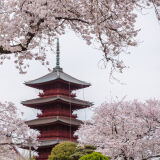 【観光】池上本門寺