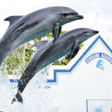 【観光】しながわ水族館