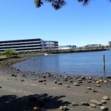 【観光】大井ふ頭中央海浜公園　なぎさの森