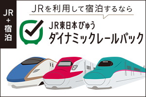 JR東日本びゅう ダイナミックレールパック