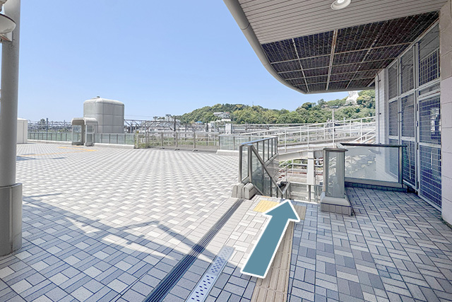 3.Go down the stairs ahead or take the elevator in the back left to the ground level.