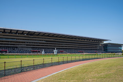 東京競馬場