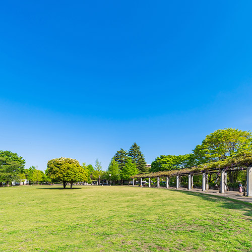武藏國分寺公園