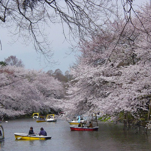井之頭恩賜公園