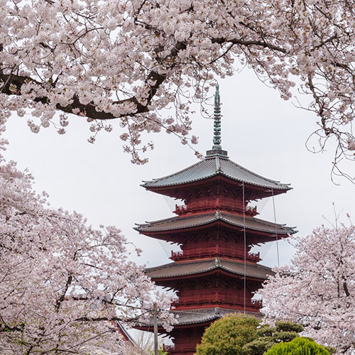 池上本门寺