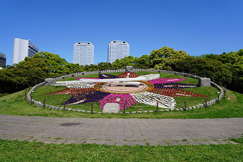 豊洲市場