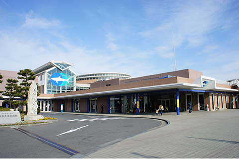 アクアワールド茨城県大洗水族館