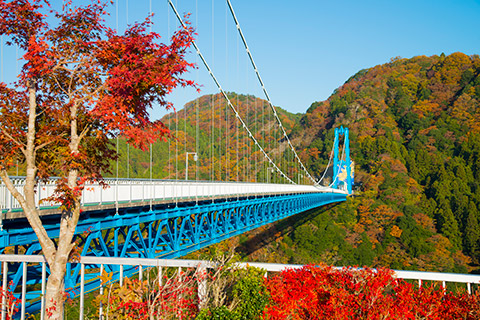 竜神大吊橋