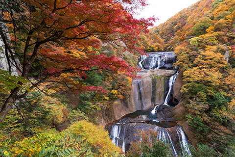 袋田の滝