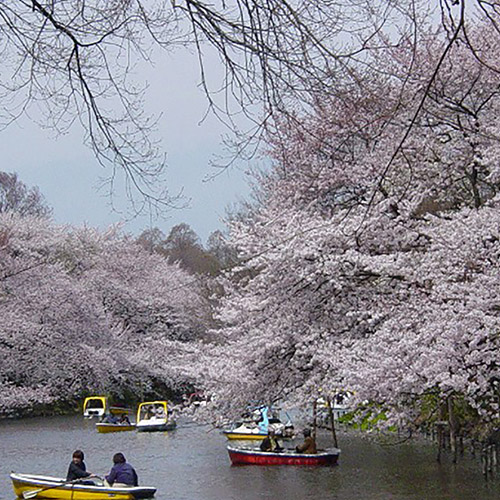 Inokashira Park