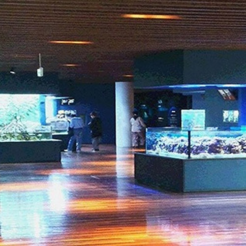 マリンピア日本海