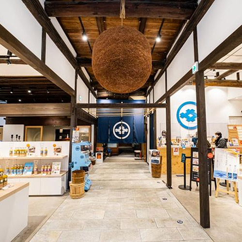 今代司酒造（酒蔵見学）