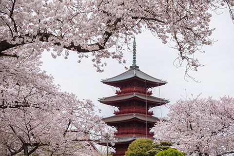 池上本門寺