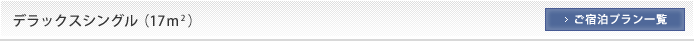デラックスシングル（17平米）