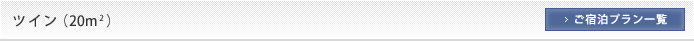 ツイン（20平米）