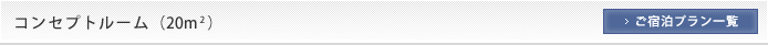 コンセプトルーム（20平米）