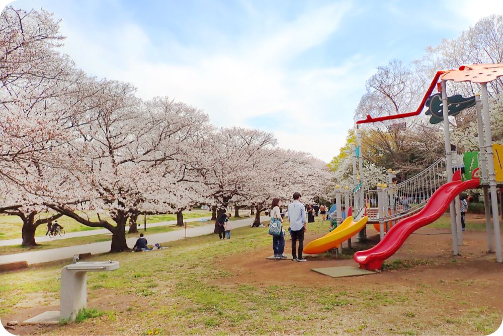 大井ふ頭中央海浜公園スポーツの森