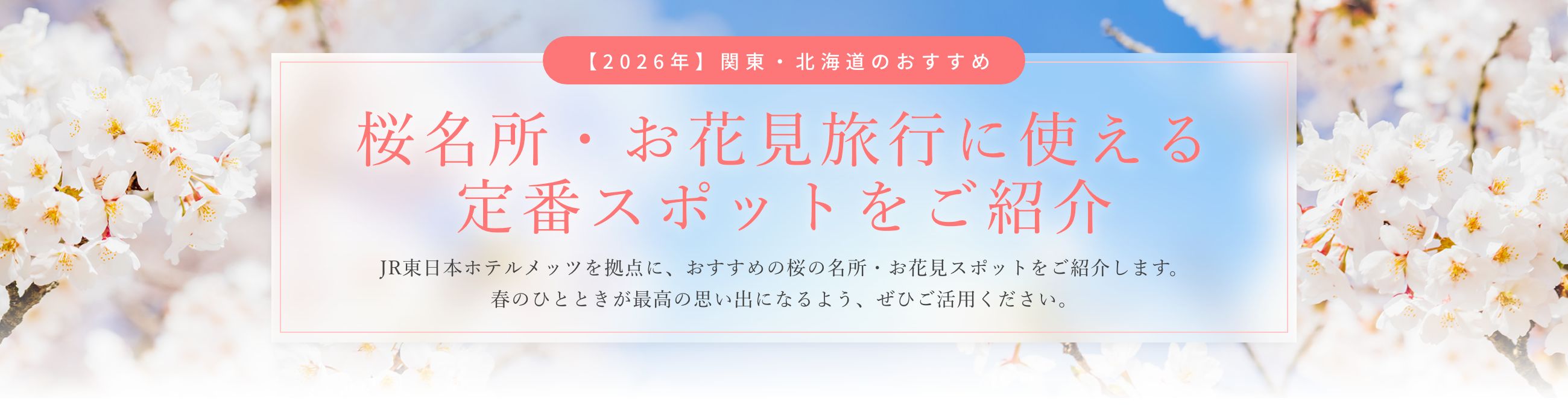 【2026年】関東・北海道のおすすめ桜名所・お花見旅行に使える、定番スポットをご紹介