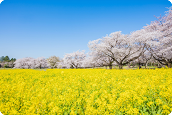 観光地のイメージ
