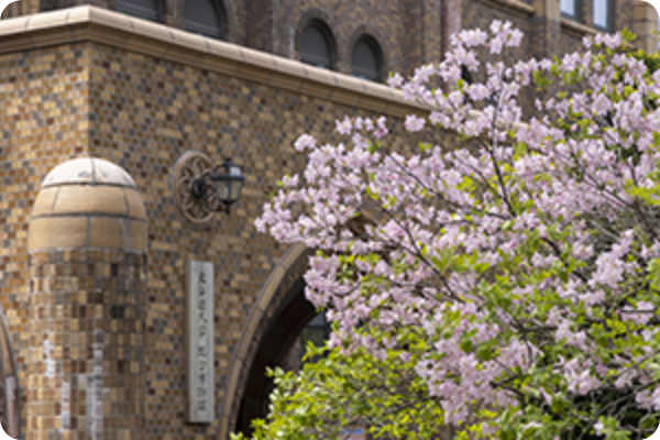 観光地のイメージ