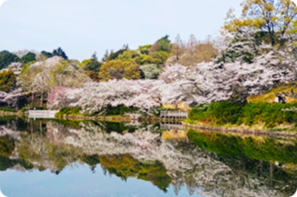 観光地のイメージ