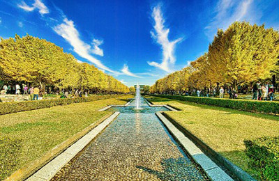国営昭和記念公園