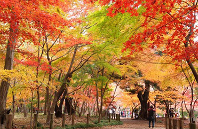 平林寺