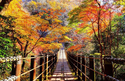 花貫渓谷