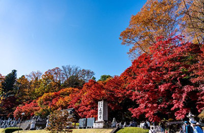 永源寺（もみじ寺）