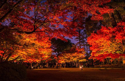 大田黒公園