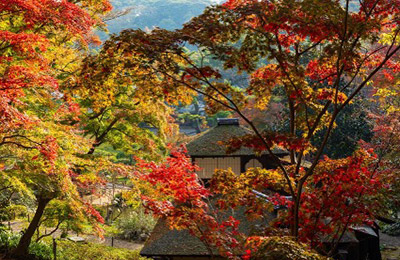 三溪園
