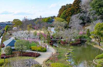偕楽園
