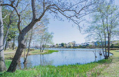 大塚池公園