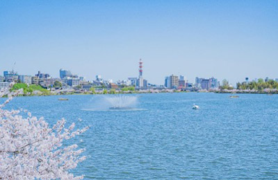 千波湖