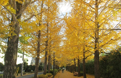 宇都宮駅東公園