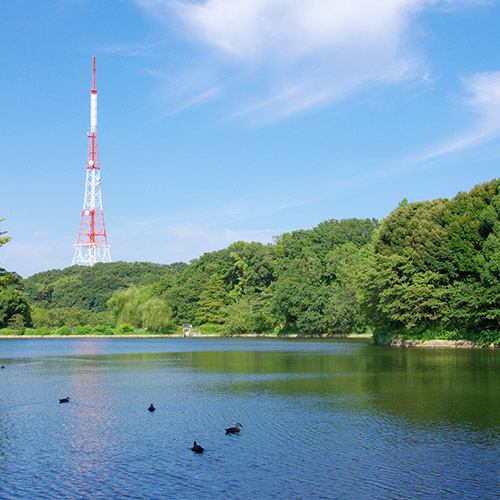 Kanagawa Prefectural Mitsuike Park